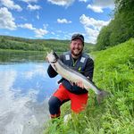 Daniel Solberg - @solberg_00 - Instagram