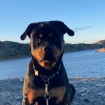 Qira, Emcalo Venezia - @qira_needy_solberg_danielsen - Instagram