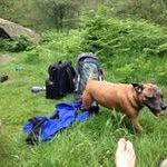 Dan Spalding - @dan.spalding - Instagram