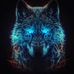 Dan Spalding - Facebook
