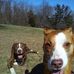 Dan Sperber - Facebook