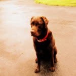 Dan Spinella - @dspin39 - Instagram