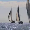 danielspinella - @danielspinella - TikTok