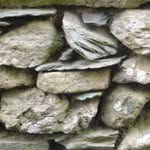 Dan Stamper - @stamperdan - Instagram