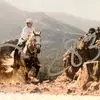 Dani - @dannanstamper - TikTok