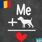 Dan Ilie Stanescu - @ilie.stanescu.96 - Instagram
