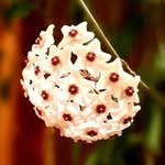 Dan Stanescu - @stanescudan53 - Instagram