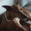 Dankos Stankos28 - @dankosstankos - TikTok