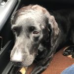 Dan Stapleton - @stapledan - Instagram