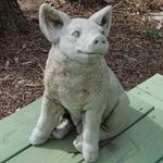 Dan Stapleton - @dastapled - Instagram