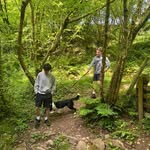 Dan - @_danstarkey - Instagram
