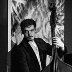 Dan Stein - @dansteinbass - Instagram