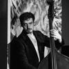 Dan Stein - @dansteinbass - TikTok