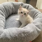 Dan & Stella - @danandstella - Instagram