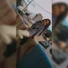 stella_dan - @_.stella._.dan._ - TikTok