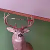 Dan Stern - @dan.stern - TikTok