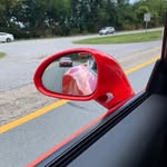 Dan Stine - @dan.stine.16 - Instagram