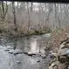 danstine79 - @dan.stine6 - TikTok