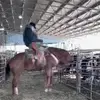 tdanstine - @tdanstine - TikTok