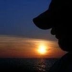 Dan Stowe - @dan.stowe.77 - Instagram
