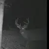 Dan Stratton - @danstratton7 - TikTok