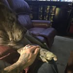Dan Stratton - @danieldoesdirt - Instagram