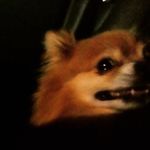 Daniel - @danstreeteriguess - Instagram