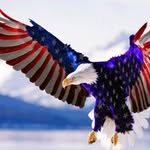 Dan Strickland - @dcs1american - Instagram