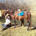 Dan Stringer - Facebook