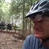 Dan Segelstrom - @dansegelstrom - TikTok