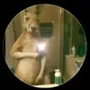 Dan Suarez - @dan.suarez88 - TikTok