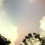 Dan Suchittra - @dansuchittra - Instagram