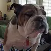 danielcswearingen - @danielcswearingen - TikTok