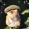 danswearingen - @danswearingen - TikTok