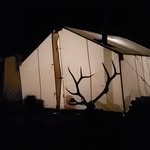 Dan Swenson - @dandabeeman - Instagram