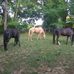 Dan Tackett - Facebook