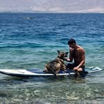 Dan Taggar - @dan_taggar1 - Instagram