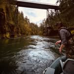 Dan Taggart - @dantaggart - Instagram
