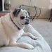 Dan Tardiff - Facebook