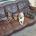 Dan Tardiff - Facebook