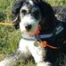 Danette Templin - Facebook