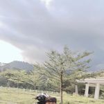Dan Teng - @danteng5245 - Instagram