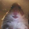 danteree - @dantr9994 - TikTok