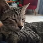 Dante - @dantes.serafim - Instagram