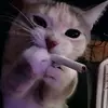 dantesta - @nemodnyi_negramotnyi - TikTok