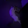 dante - @dante.w54 - TikTok