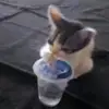 dante_w_ - @dante_w_154 - TikTok