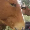 Dante W - @dante.w39 - TikTok