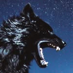 𝔇𝔞𝔫𝔱𝔢 W𝔬𝔩𝔣 V𝔞𝔰𝔮𝔲𝔢𝔷 - @dante_wolf_vasquez - Instagram