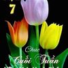 Dan Thach - @danthach15 - TikTok